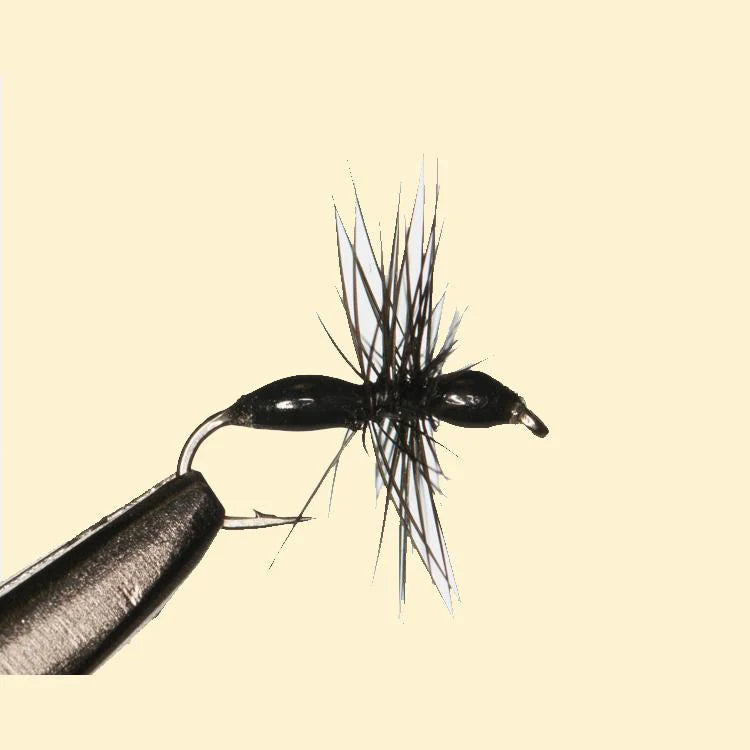 Fishin' Pro Hackled Ant