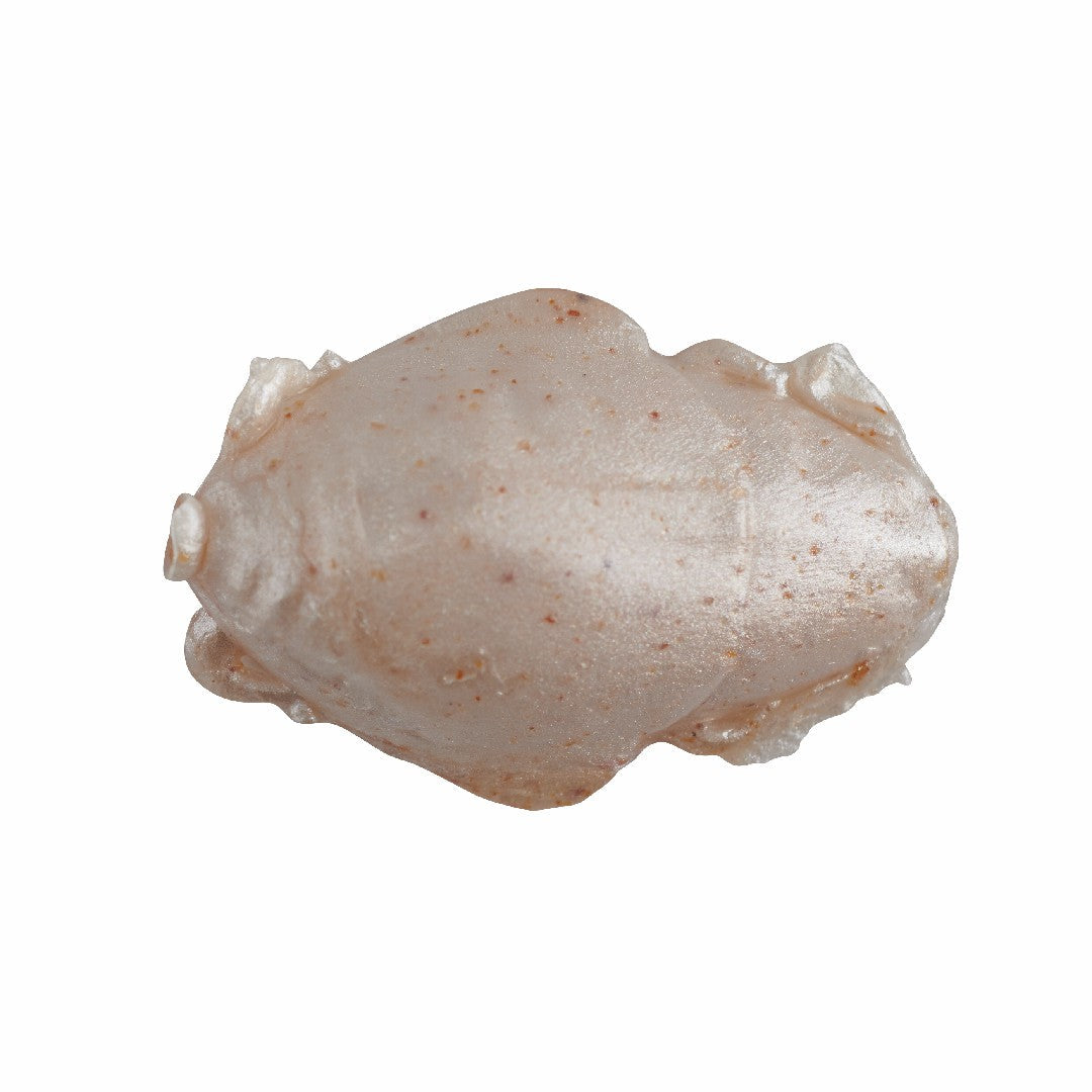 Saltwater Sand Crab Bait