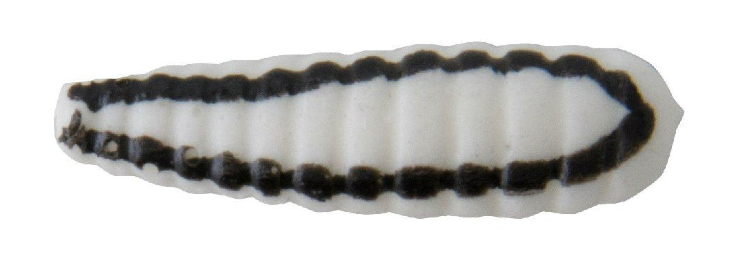 Beetle Spin Nickel 1 – 1/32 oz (6-Pack)