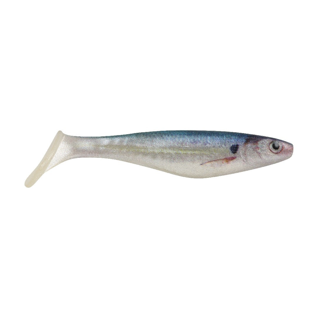 Champ Fishing Bait