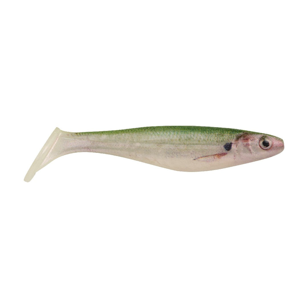 Champ Fishing Bait