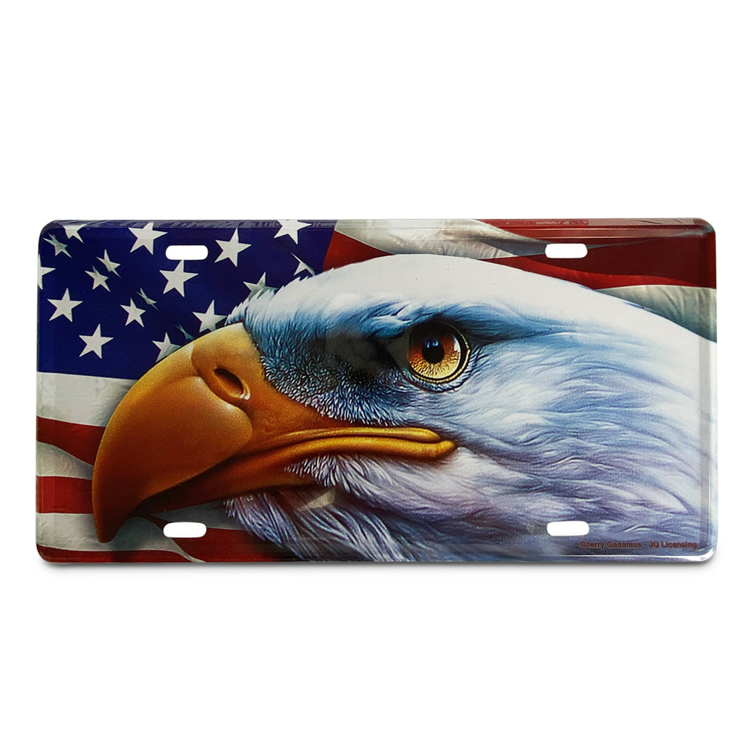Vanity License Plate 12in x 6in