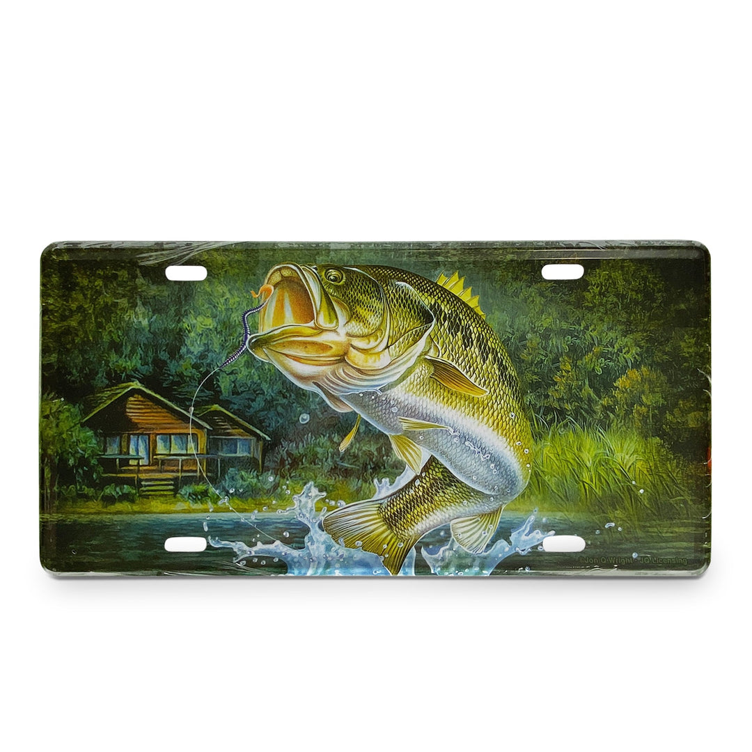 Vanity License Plate 12in x 6in