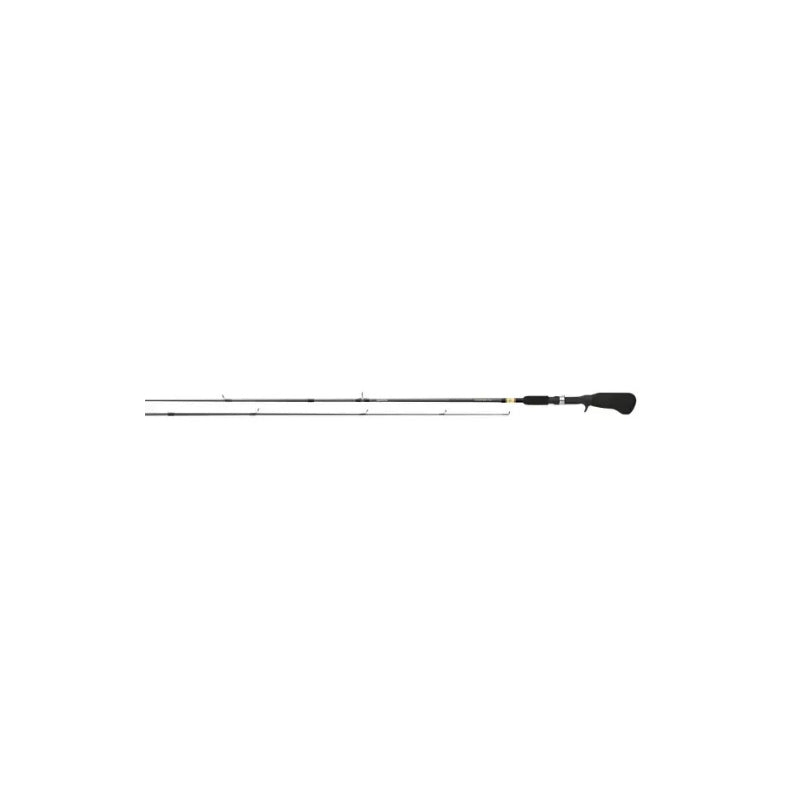 Sweepfire SWD602MFS 2-Piece Rod
