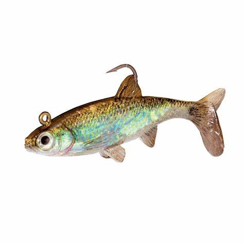 Live-Forage Swimbaits Lure Pack