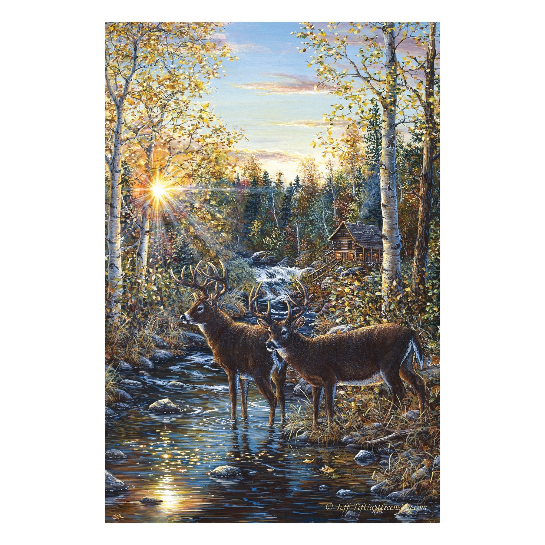 LED/Fiber Optic Illuminated Gallery Wrapped Canvas Art