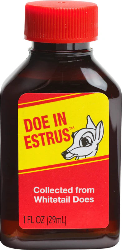 Doe in Estrus