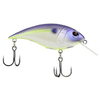 Bass Hard Baits