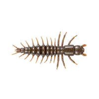 Trout Soft Baits