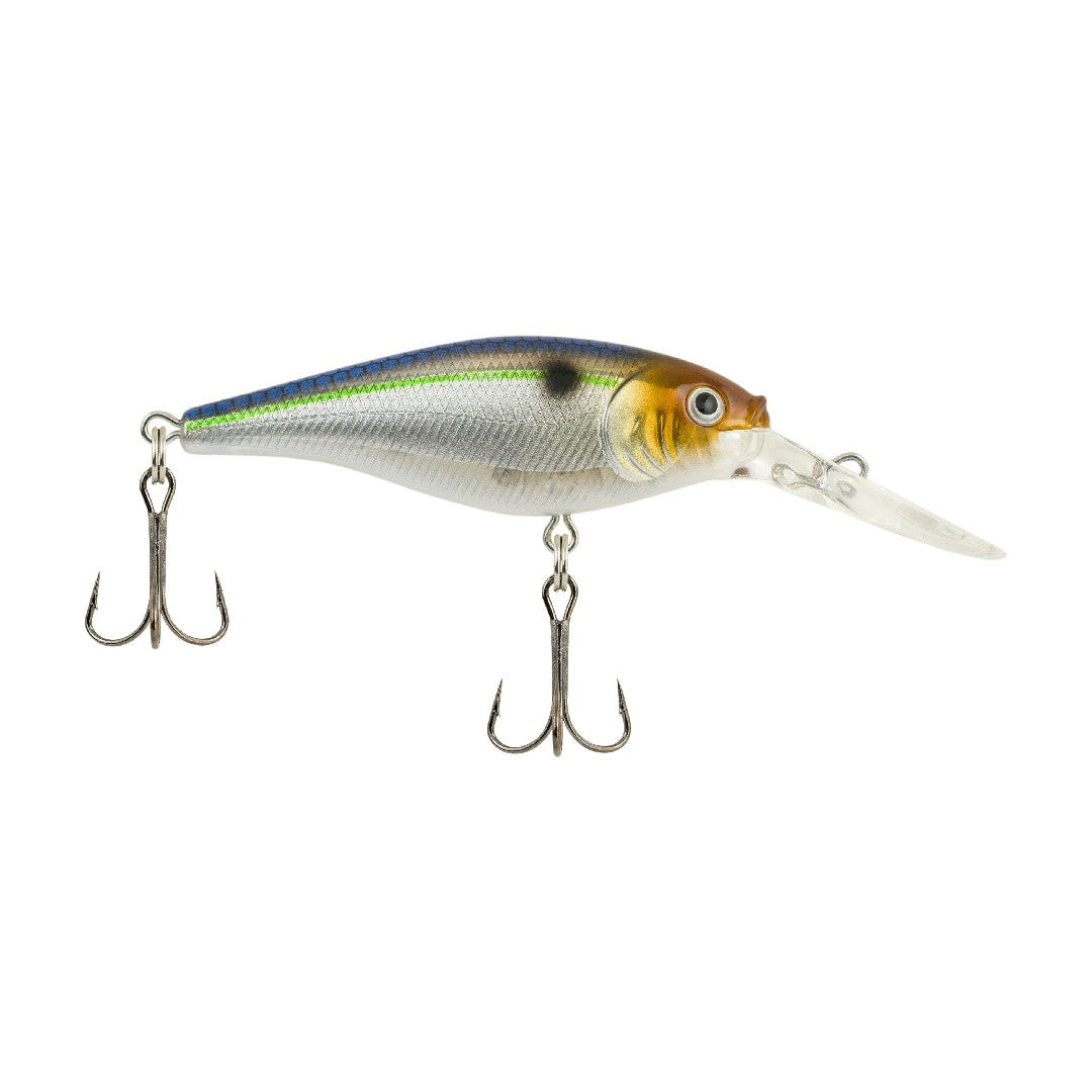 Blue Smelt
