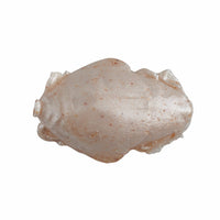 Saltwater Sand Crab Bait