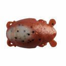 Saltwater Sand Crab Bait