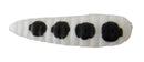 Beetle Spin Nickel 1 – 1/32 oz (6-Pack)