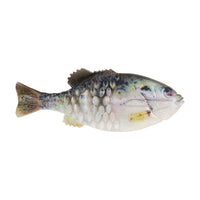 Berkley PowerBait® Gilly 5"