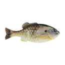 Berkley PowerBait® Gilly 4.5"