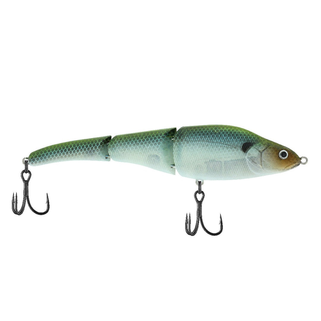 Greenback Ghost
