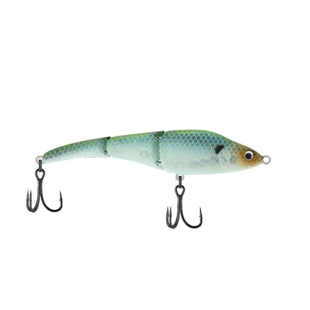 Greenback Ghost