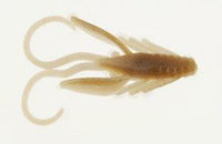 Berkley PowerBait® Power® Nymph 1"