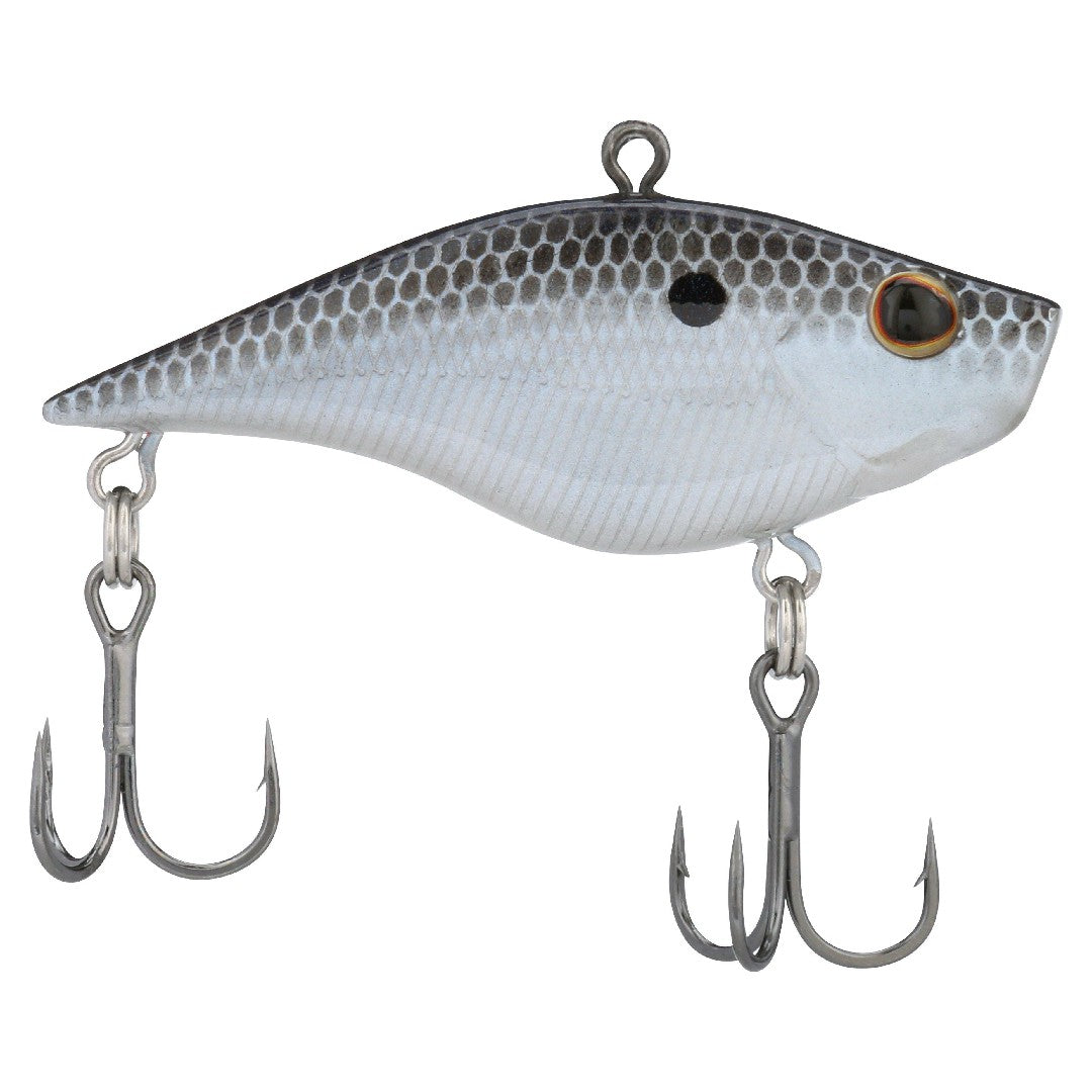 Blue Shad