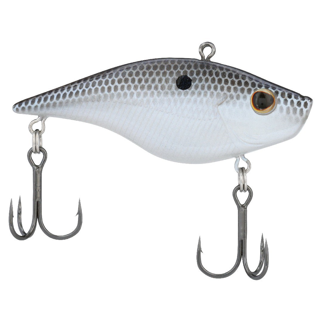 Blue Shad