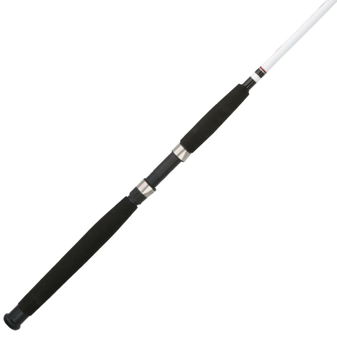 Berkley Big Game™ Spinning Rod