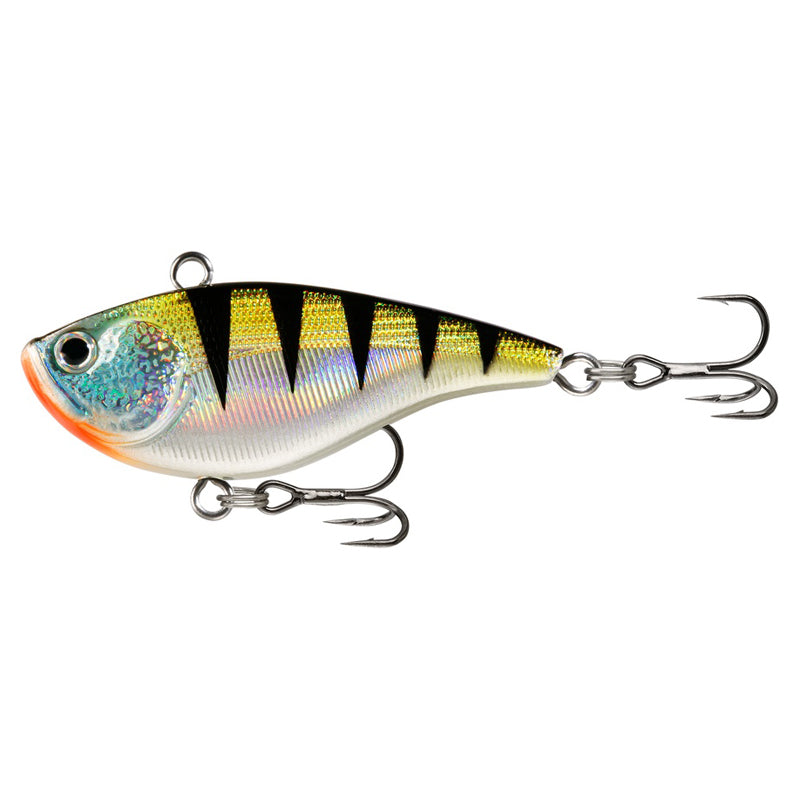 Golden Shiner