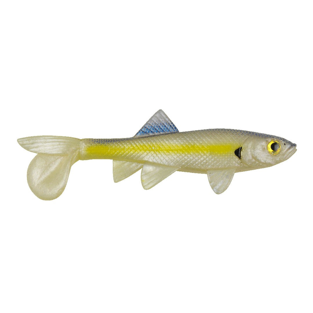 Mini Sick Fish