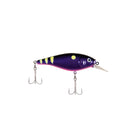 Berkley Flicker Shad Shallow FFSH5S