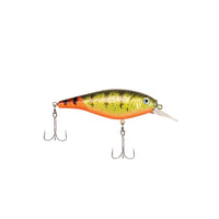 Berkley Flicker Shad Shallow FFSH5S