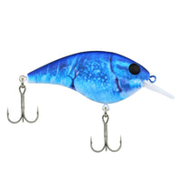 Berkley Frittside 2.25" – 1/3 oz