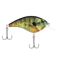 Berkley Frittside 2.25" – 1/3 oz