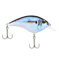 Berkley Frittside 2.25" – 1/3 oz