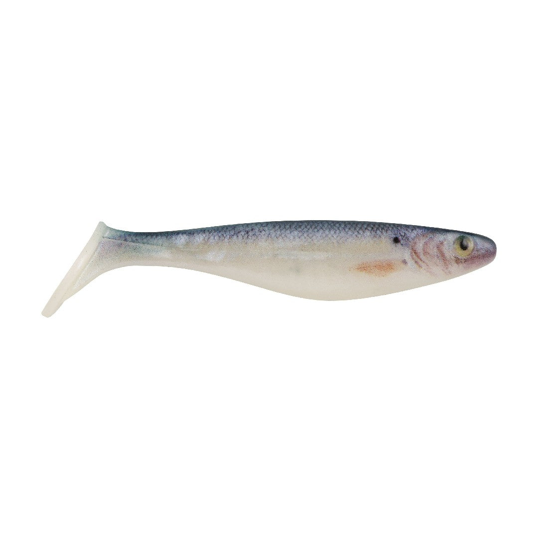 HD Blueback Herring