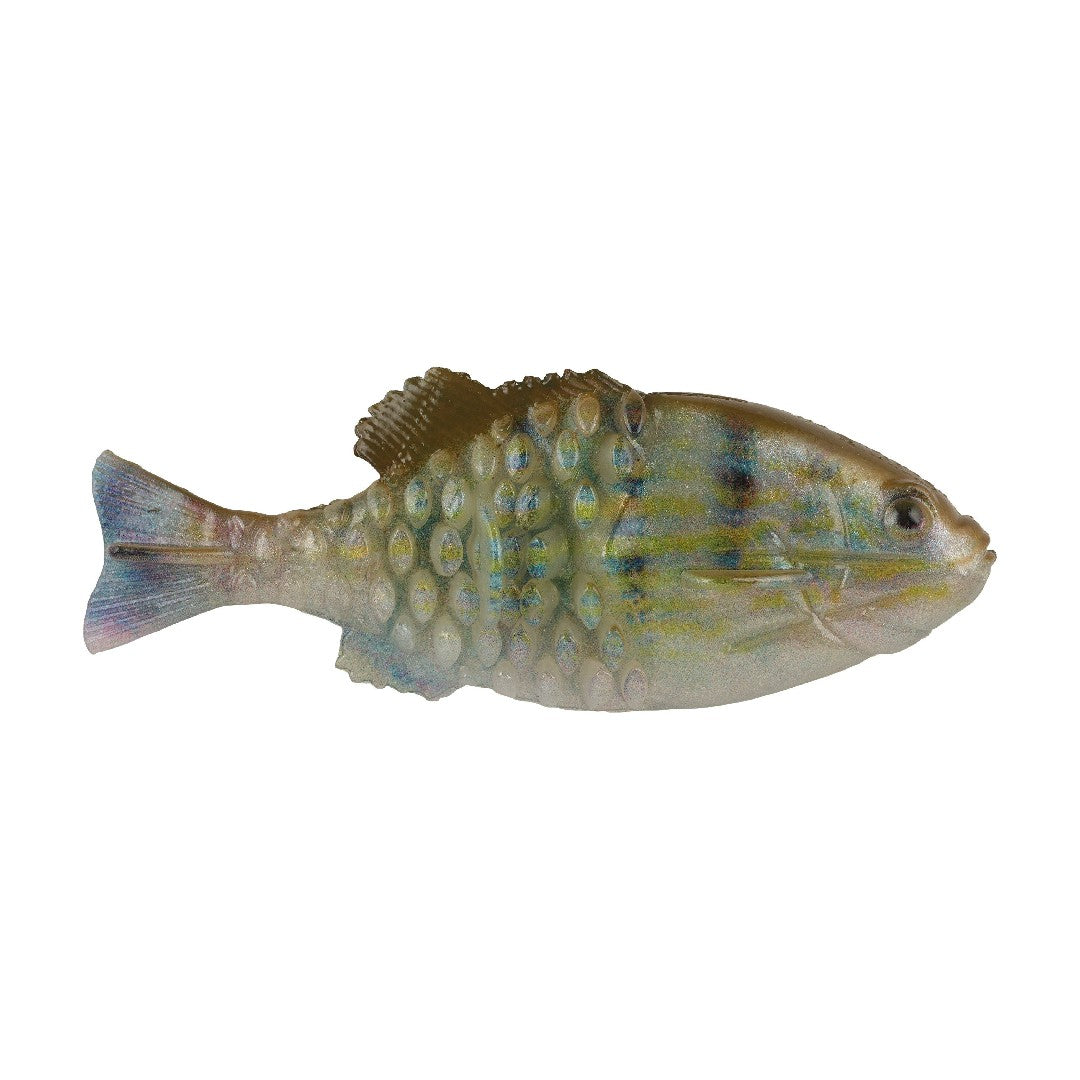 110 / HD Pinfish