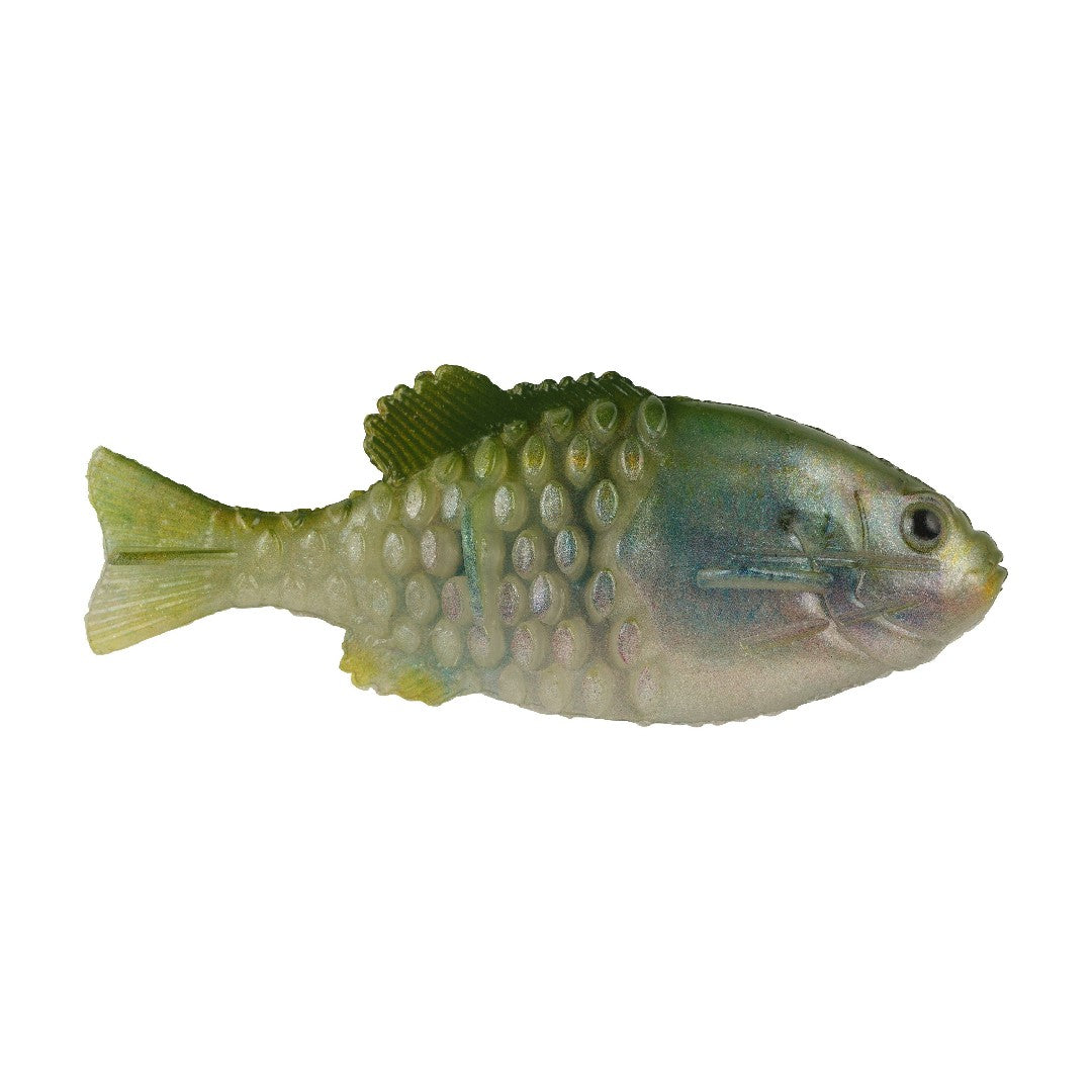 130 / HD Pilchard