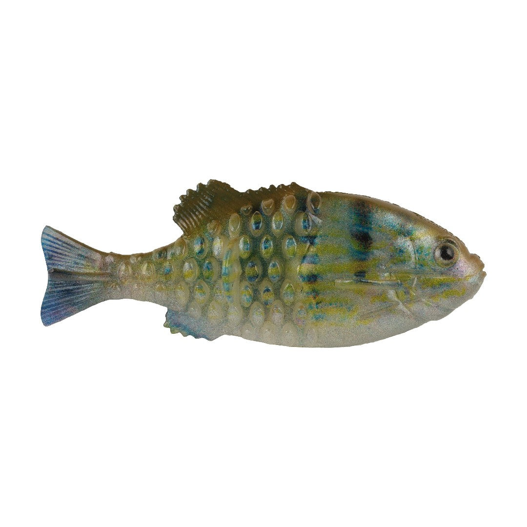 130 / HD Pinfish