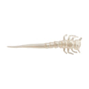 Mini Swordtail Lure
