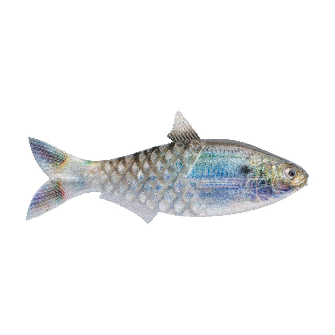 135 / HD Scaled Sardine