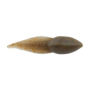 Berkley Gulp Tadpole