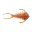 Trilobite Fishing Bait