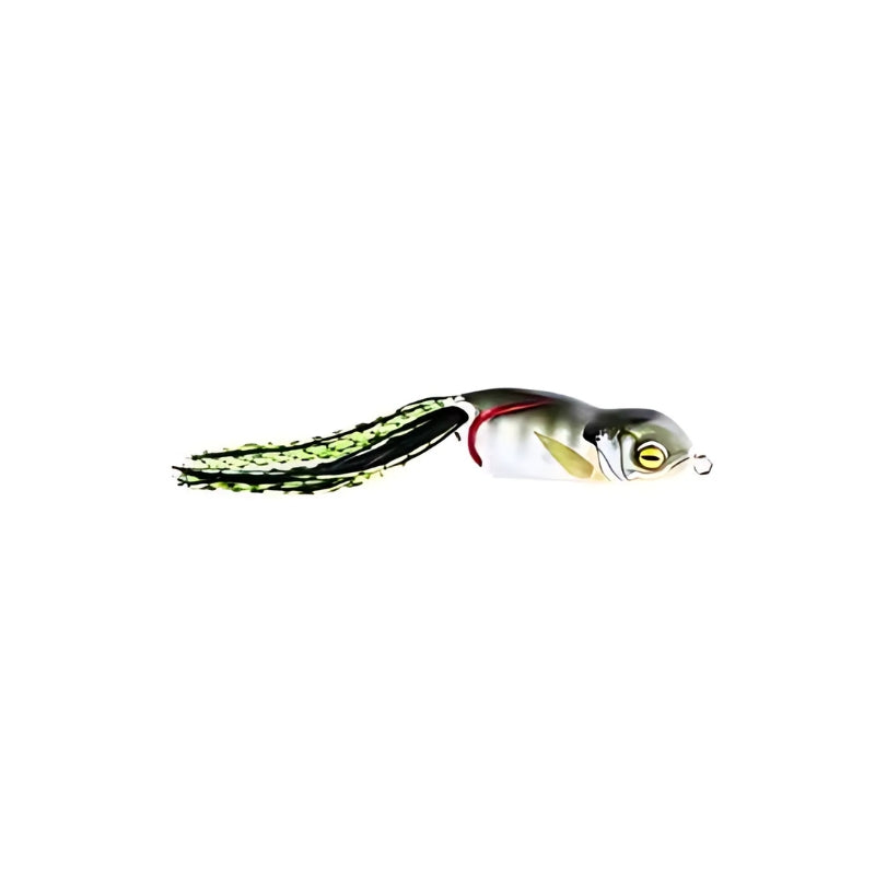 Bluegill 2341