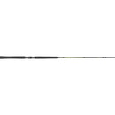 Wally Marshall Classic Signature Series M/L Spinning Rod