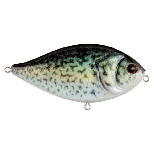 Berkley SlapGill Topwater Fishing Hard Bait - 3.1 in - 3/5 Oz