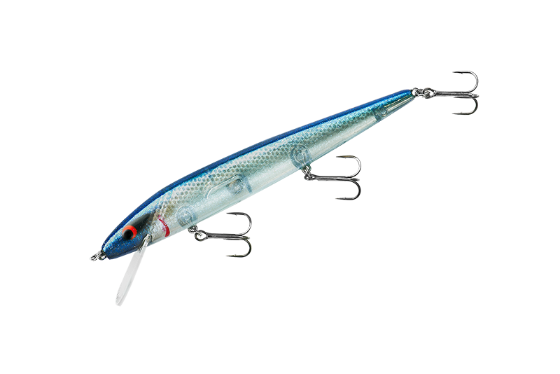 5 1/2 IN - 5/8 OZ / Blue Back Herring