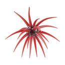 Berkley PowerBait MaxScent 'Moeba Dice Baits