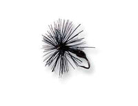 Perfect Black Ant Size 12