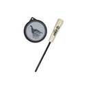 SUZIE SNOOD GLASS PAN CALL