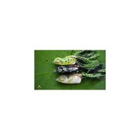 Scum Frog Popper Lure