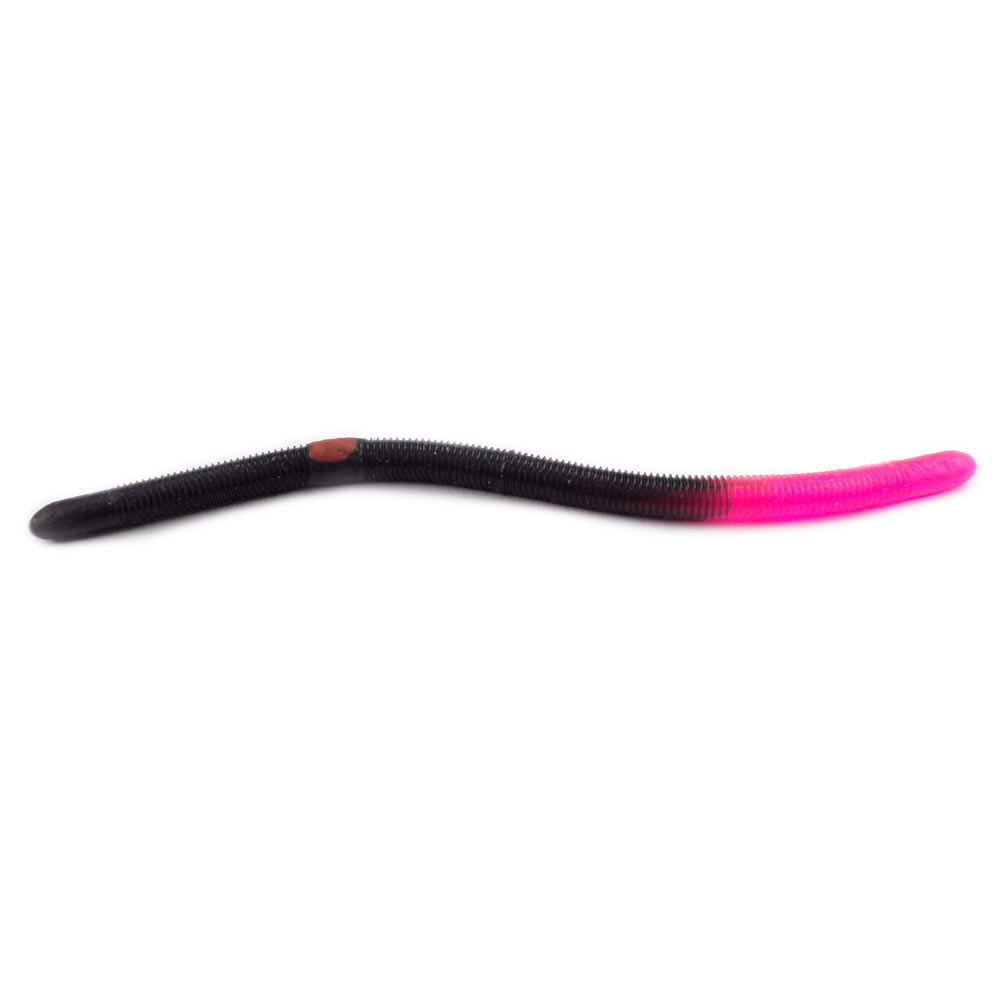 BLACK FIRETAIL