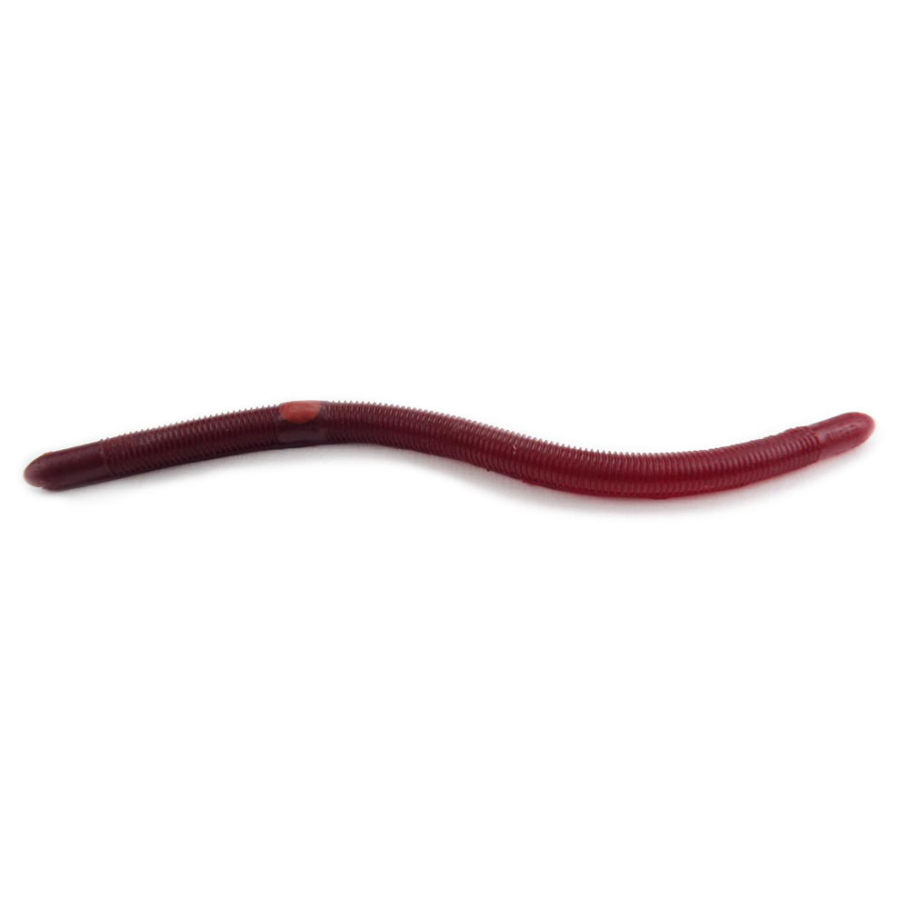 RED SWAMP BERRY